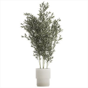Beautiful Bamboo bush in flowerpots for decoration 1272 3D