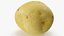 Potato 03