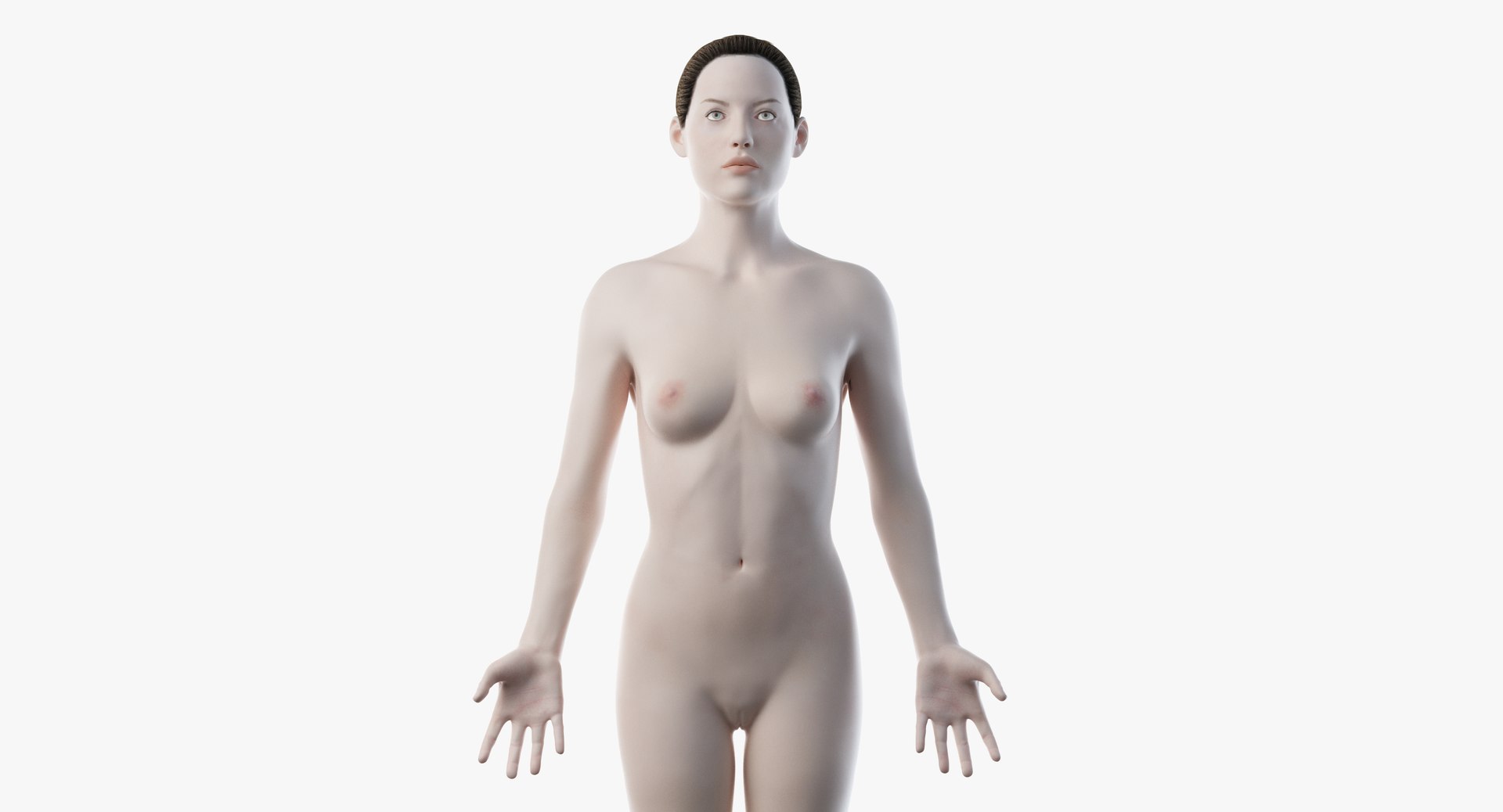male female anatomy set model https://p.turbosquid.com/ts-thumb/Yz/pmOAeZ/6mSjrAaf/2019_female_body0001/jpg/1560851417/1920x1080/fit_q87/d793b53ac174d735af7194fbc478047cf32ef7ff/2019_female_body0001.jpg