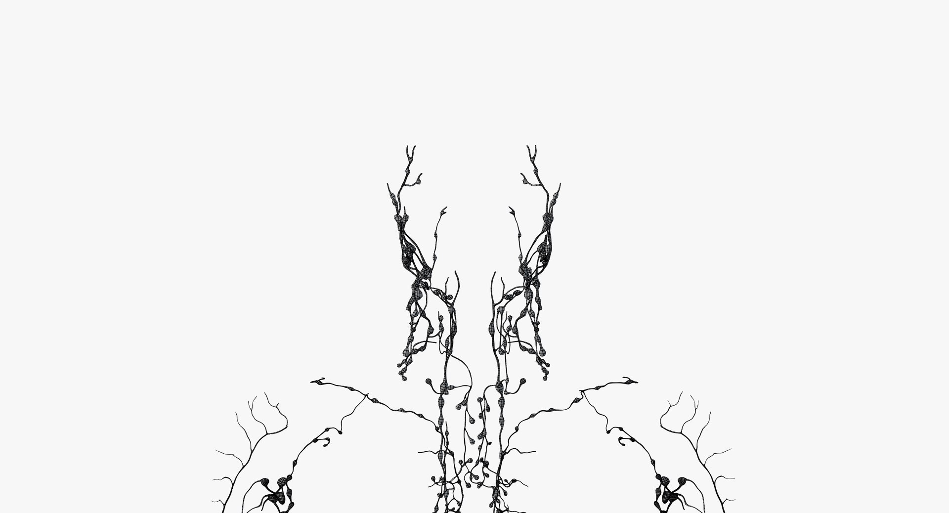 male female anatomy set model https://p.turbosquid.com/ts-thumb/Yz/pmOAeZ/upAJ0vAw/wire_all_lymph0000/png/1560854782/1920x1080/fit_q87/f1338fb9c2121c8cb9f3215ac2e913e779795597/wire_all_lymph0000.jpg