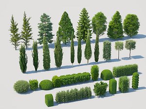 Collection of Garden Evergreen Trees and Sculpted Shrubs 3D model