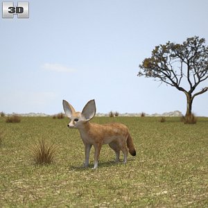 3D fennec fox