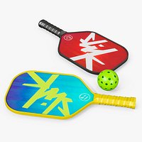 Pickleball Paddle Set with Ball and Rackets