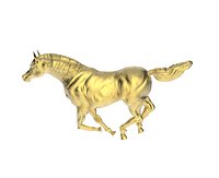Arabic Horse in galloping position 7