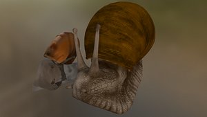 3D model Snail