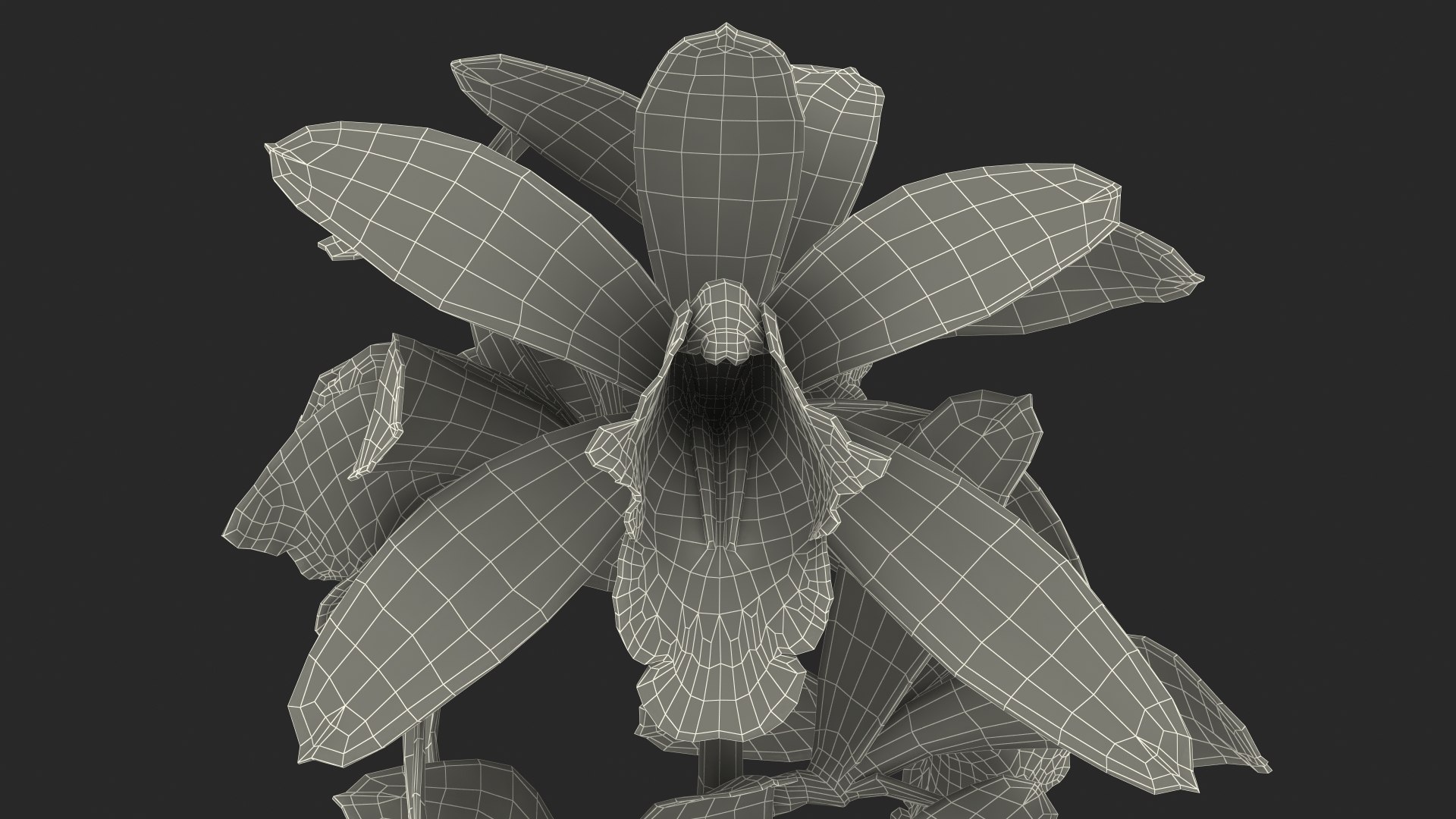 Pink Orchid Branch 3D model https://p.turbosquid.com/ts-thumb/Z0/FHvm1d/EI/pinkorchidbranchmb3dmodel025/jpg/1637783827/1920x1080/fit_q87/47aa2f0b6ebf27c6cbb055cdc33bdba212c67608/pinkorchidbranchmb3dmodel025.jpg