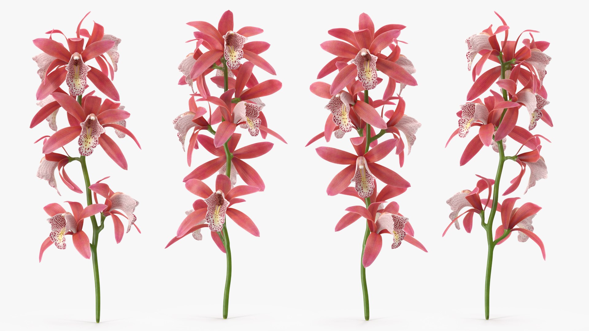Pink Orchid Branch 3D model https://p.turbosquid.com/ts-thumb/Z0/FHvm1d/Gm/pinkorchidbranchmb3dmodel005/jpg/1637783765/1920x1080/fit_q87/db040bb226e0bdfa85bbbce71cf6affd5de53fd8/pinkorchidbranchmb3dmodel005.jpg