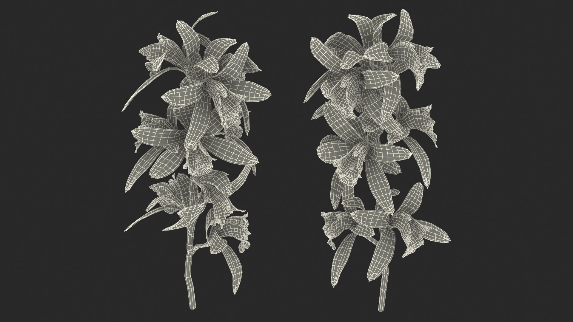Pink Orchid Branch 3D model https://p.turbosquid.com/ts-thumb/Z0/FHvm1d/ke/pinkorchidbranchmb3dmodel023/jpg/1637783821/1920x1080/fit_q87/41cd7982b9dc1769ad3664d47c4afb0208ca6d20/pinkorchidbranchmb3dmodel023.jpg