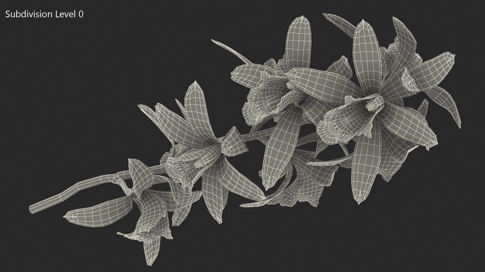 Pink Orchid Branch 3D model https://p.turbosquid.com/ts-thumb/Z0/FHvm1d/l5/pinkorchidbranchmb3dmodel014/jpg/1637783797/1920x1080/fit_q87/5def448f365f9347359f710760f9832bbb912100/pinkorchidbranchmb3dmodel014.jpg