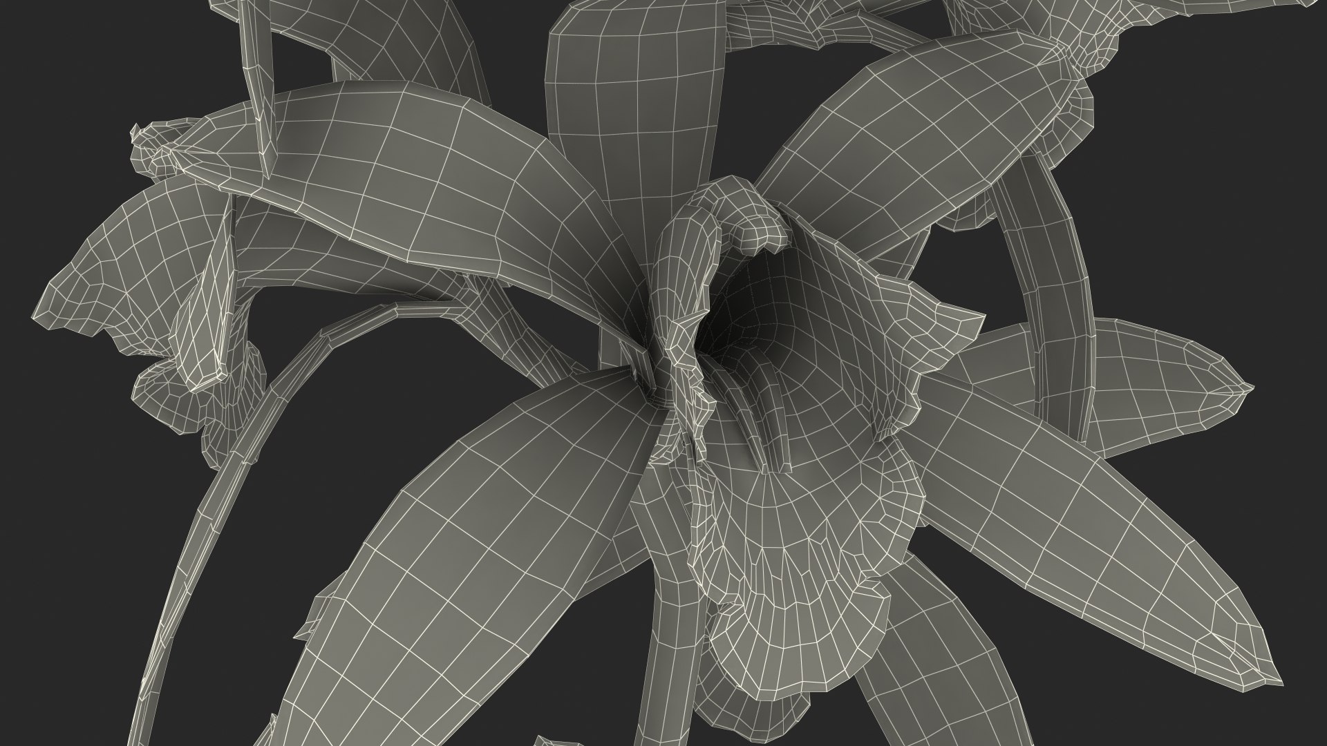 Pink Orchid Branch 3D model https://p.turbosquid.com/ts-thumb/Z0/FHvm1d/z0/pinkorchidbranchmb3dmodel027/jpg/1637783833/1920x1080/fit_q87/b4504237b91386d71be098051dac3529bf982279/pinkorchidbranchmb3dmodel027.jpg