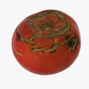 Tomato 02 low-poly 3D model