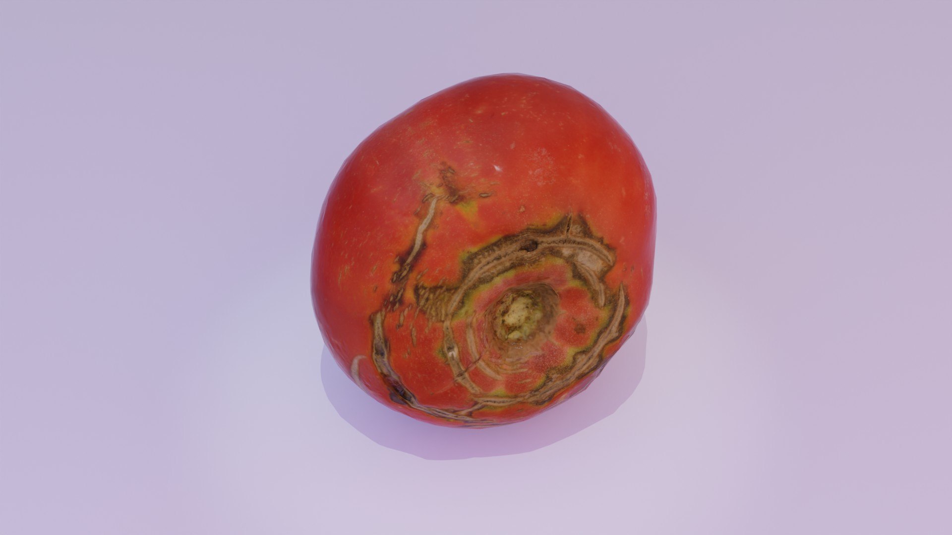 Tomato 02 low-poly 3D model 3D https://p.turbosquid.com/ts-thumb/Z0/G4dCJX/GB/lowrender09/jpg/1662242095/1920x1080/fit_q87/6c8cd90f5daa4e7f37f2ffbeef6f4b8564667e87/lowrender09.jpg