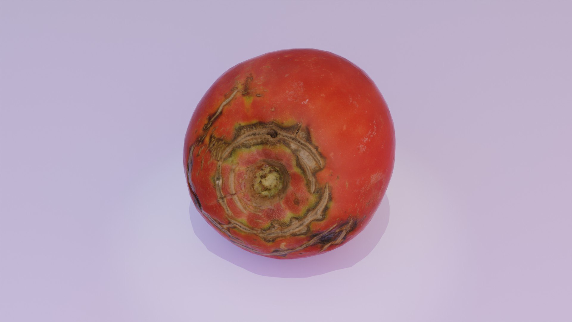 Tomato 02 low-poly 3D model 3D https://p.turbosquid.com/ts-thumb/Z0/G4dCJX/a5/lowrender08/jpg/1662242093/1920x1080/fit_q87/ad56b590fe72651e0d5d69425457046cbd5d5e2e/lowrender08.jpg