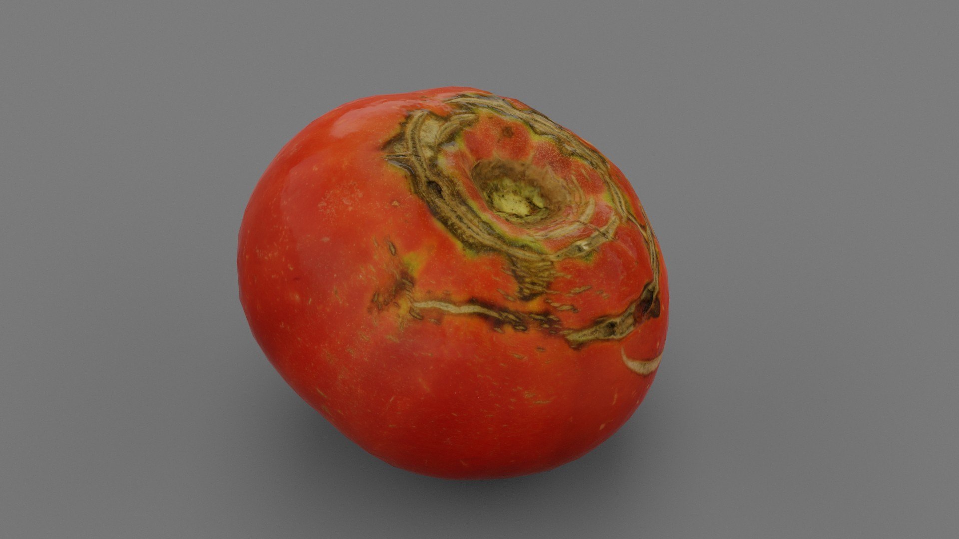 Tomato 02 low-poly 3D model 3D https://p.turbosquid.com/ts-thumb/Z0/G4dCJX/vi/lowrender23/jpg/1662242122/1920x1080/fit_q87/7347734c1069ffa9b0bcc542dcd1f6b36f80e832/lowrender23.jpg