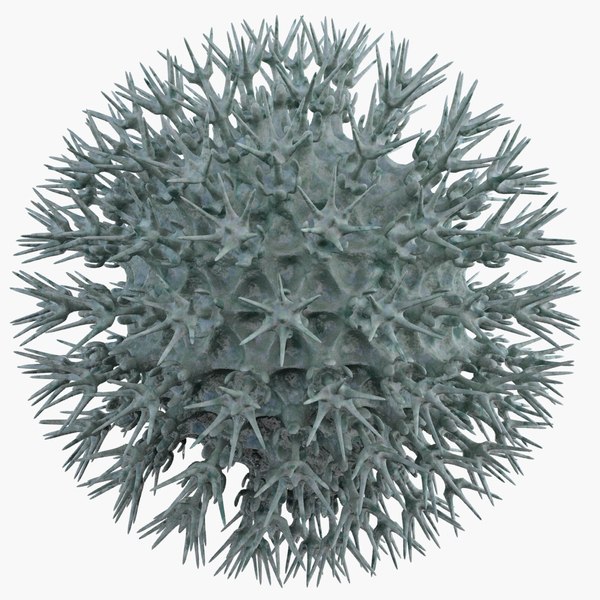 Free Microscopic Anatomy OBJ Models for Download | TurboSquid