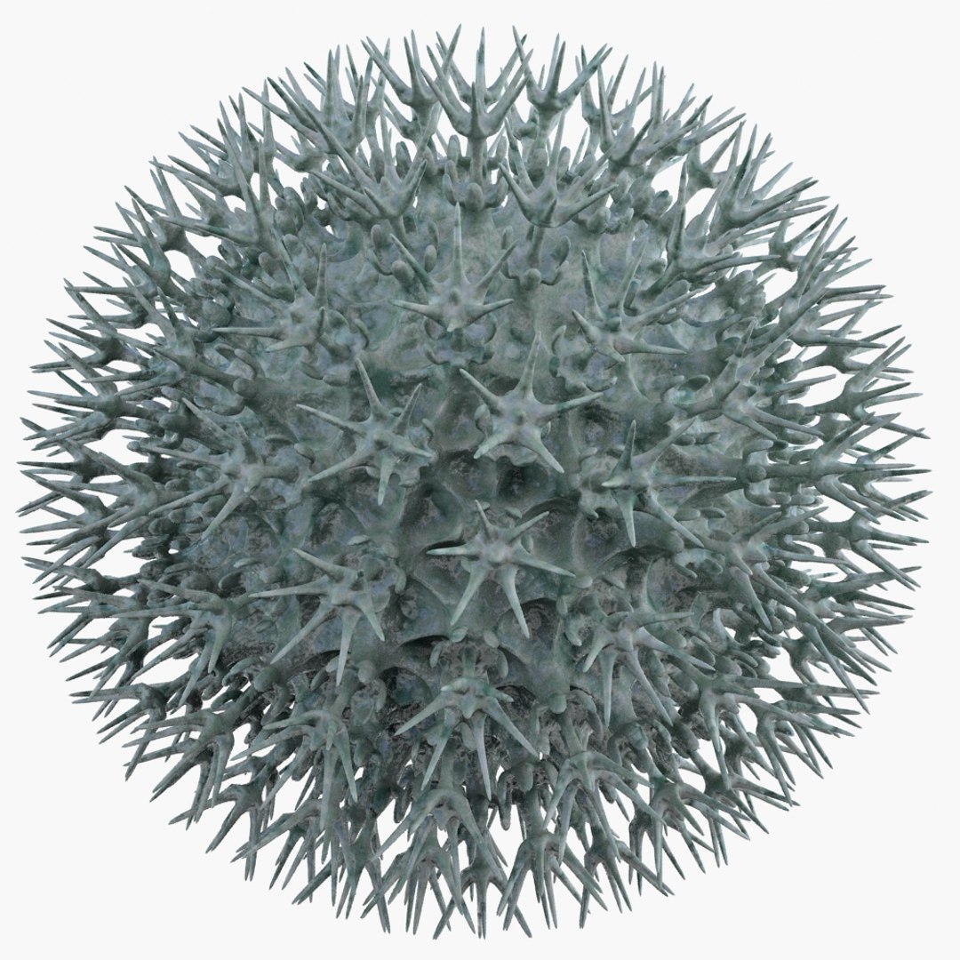 3ds max micro object mht https://p.turbosquid.com/ts-thumb/Z0/Q1q3As/b5OkBBFr/micro_object_mht078_ren02/jpg/1422736025/1920x1080/fit_q87/4ff3e523e8c994466d88843dbf477acd8807c622/micro_object_mht078_ren02.jpg