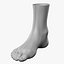 Realistic Human Foot 3D model