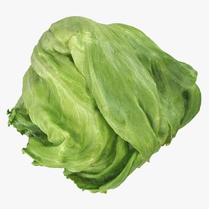 3D model Iceberg Lettuce - Raw Scan