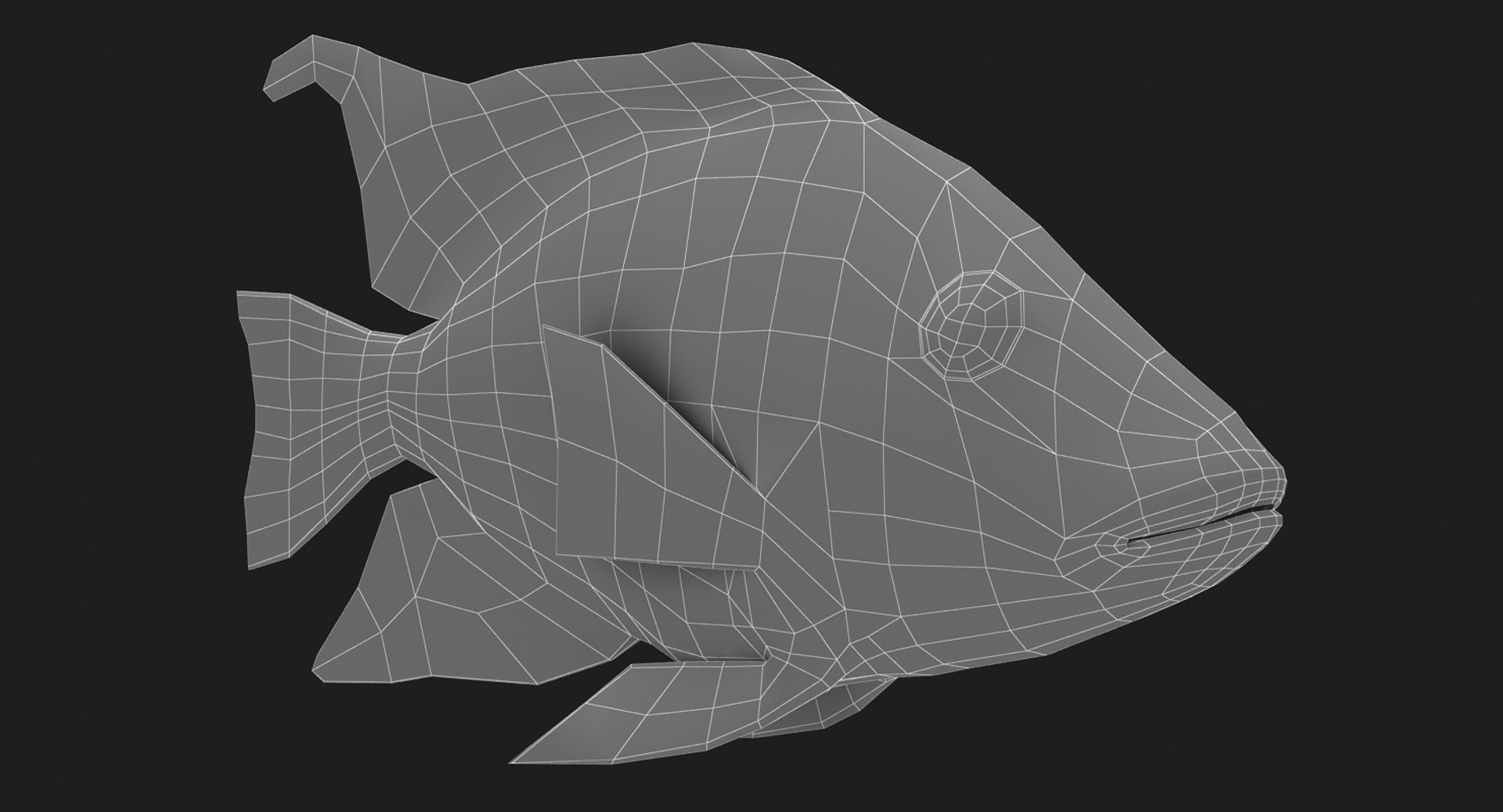 Firemouth cichlid 3D model TurboSquid 1330289
