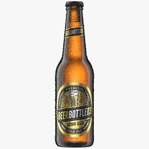 Brown Beer Bottle 3 3D model