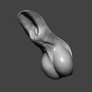 Horse Genitals Highpoly Sculpt 3D model