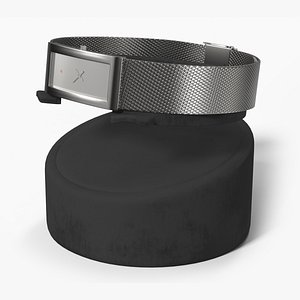 Silver Watches on Stand 3D model