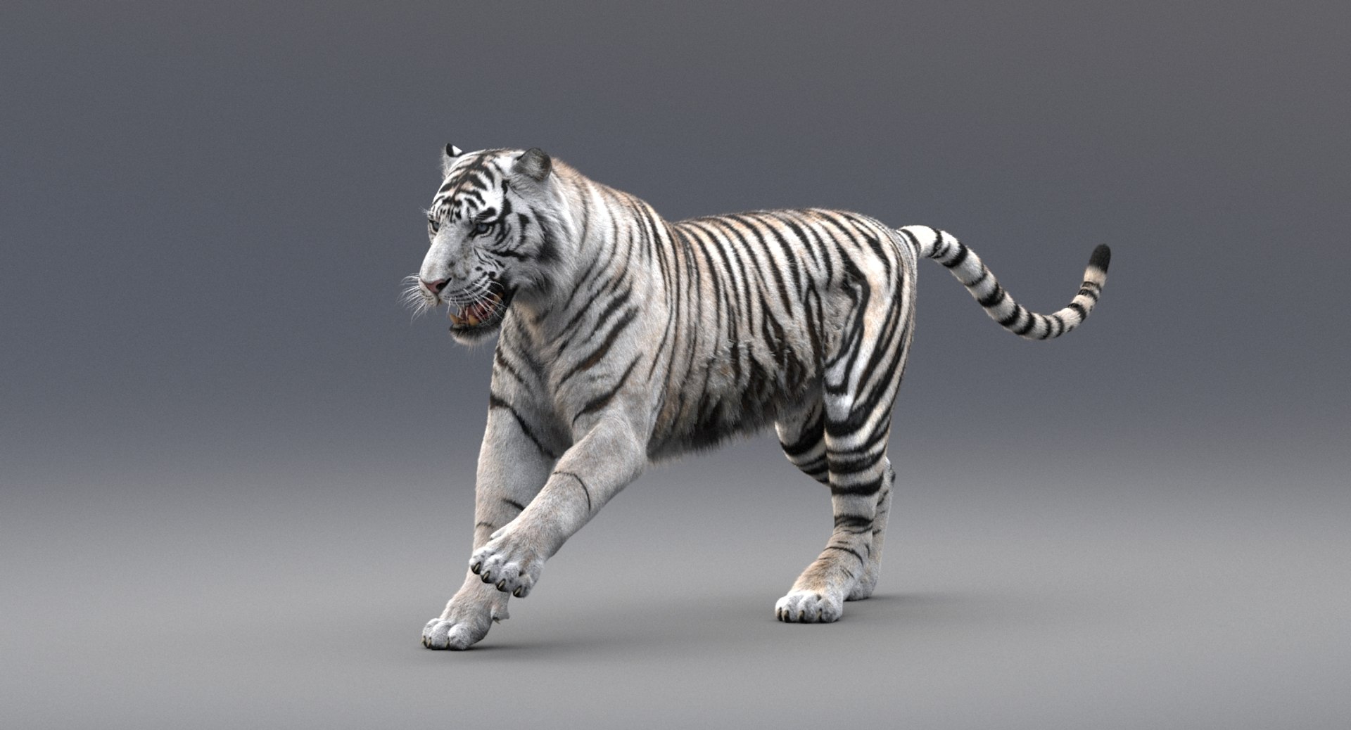 3D realistic tiger fur animation model https://p.turbosquid.com/ts-thumb/Z1/8kpFfs/B3tnh7SF/6/jpg/1516184112/1920x1080/fit_q87/e3fbfb753a8c67b864f1a4e1ea6c5b05aa894e90/6.jpg