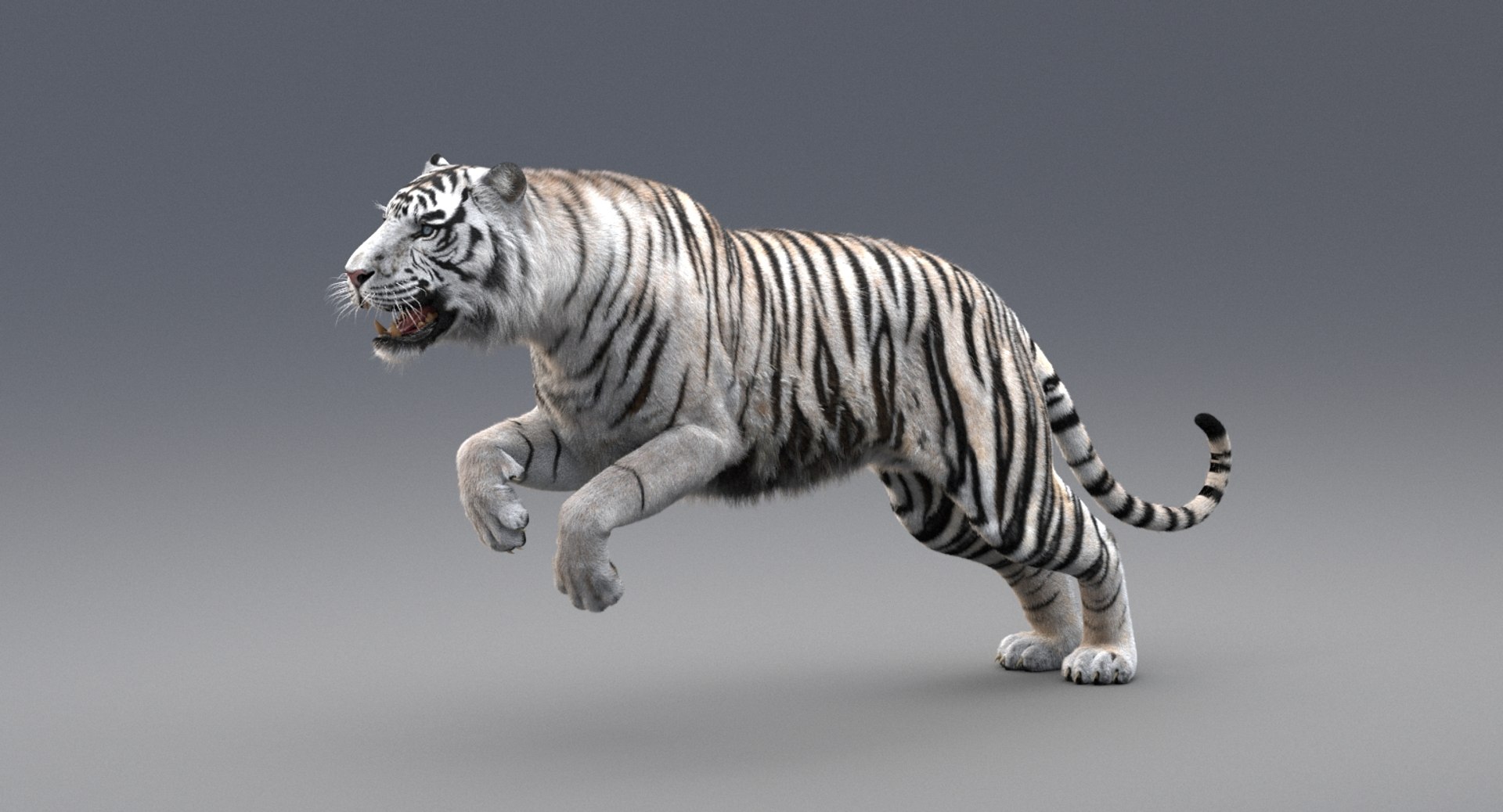 3D realistic tiger fur animation model https://p.turbosquid.com/ts-thumb/Z1/8kpFfs/ILMJsTQA/4/jpg/1516184118/1920x1080/fit_q87/6d3038e0766e9a0184b1671616059c4ed876449f/4.jpg