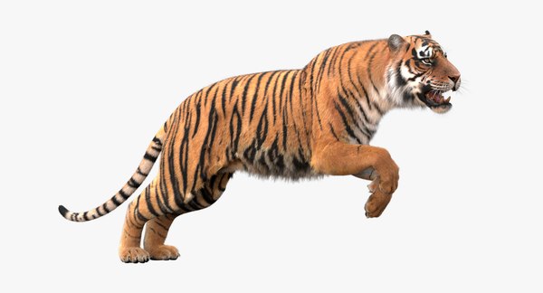 modèle 3D de Tigre du Bengale (FOURRURE) (ANIMÉ) - TurboSquid 1481168