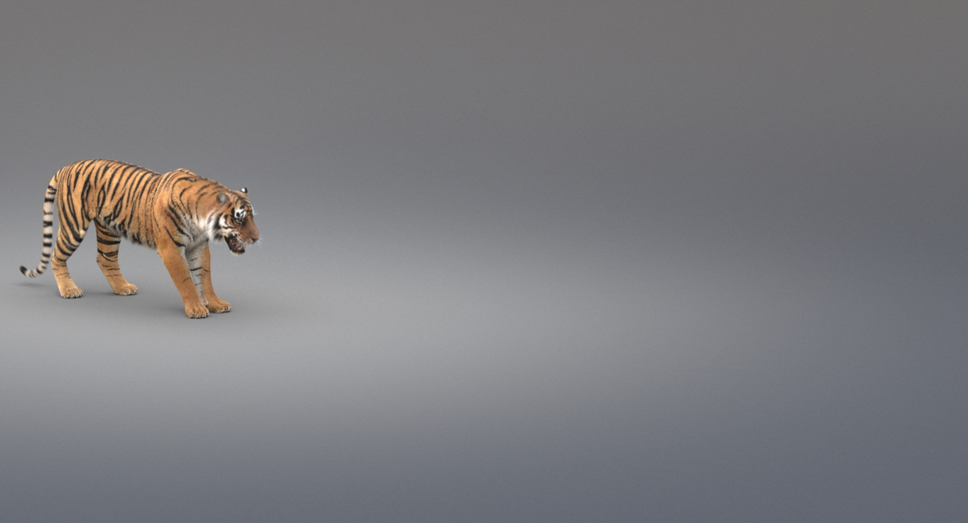 3D realistic tiger fur animation model https://p.turbosquid.com/ts-thumb/Z1/8kpFfs/bBqGMHZQ/tiger/jpg/1516183836/1920x1080/turn_fit_q99/a94b140abc6d7fcd0ee741bf8bd7d49fdd40be62/tiger-1.jpg