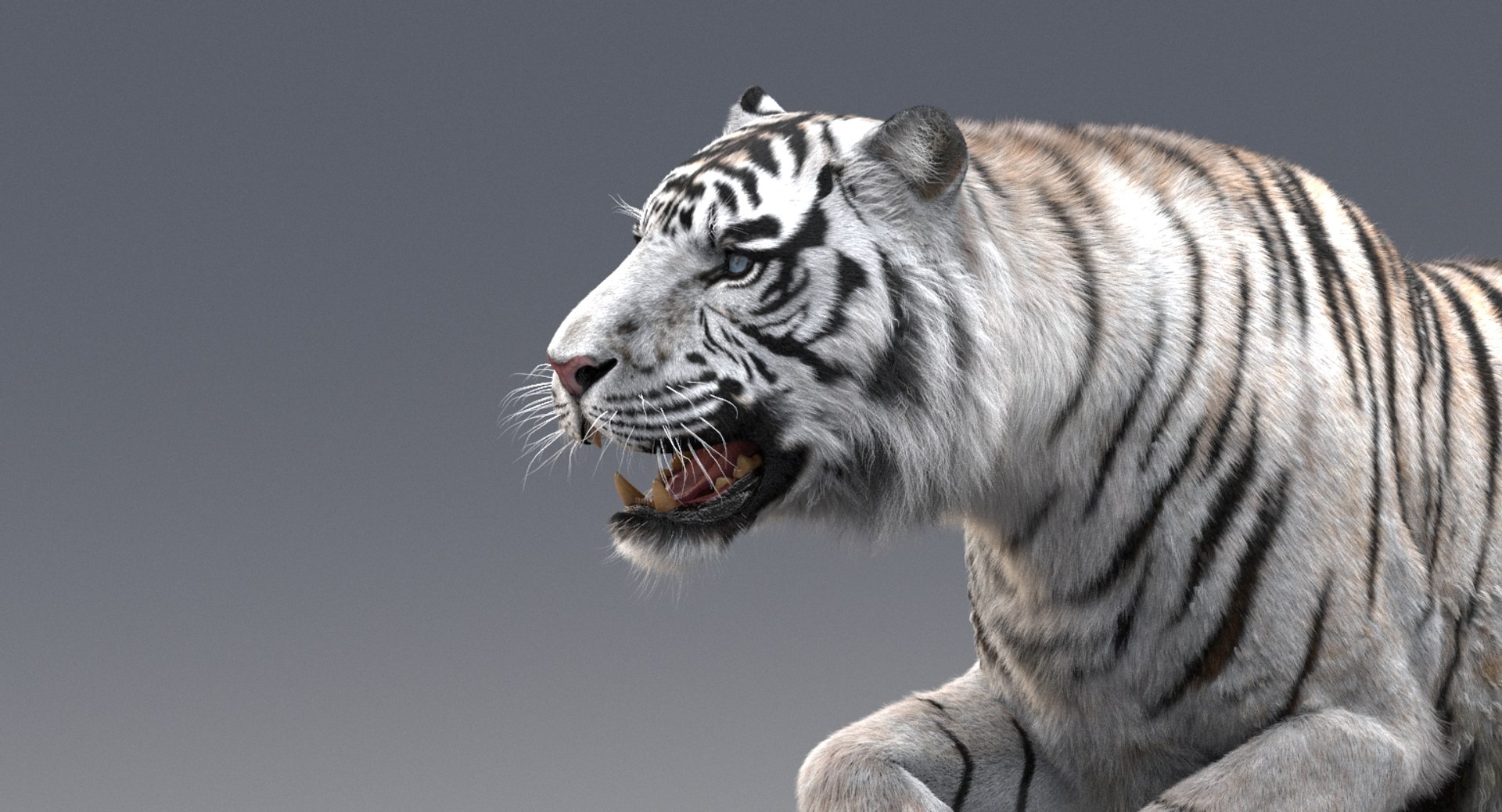 3D realistic tiger fur animation model https://p.turbosquid.com/ts-thumb/Z1/8kpFfs/lVPnjgie/5/jpg/1516184119/1920x1080/fit_q87/cb9e8944cc9466abcba8430df197eb46a3112eec/5.jpg