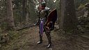 Guardian Knight