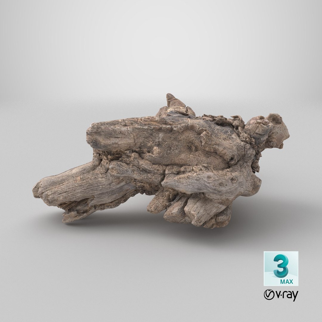 Grapevine Bark 3D Scanned 12 StemCell 3D model https://p.turbosquid.com/ts-thumb/Z1/QCMy9P/zI/stemcell_max_vray_render/png/1728314901/1920x1080/fit_q87/90d5230323d8af1b4ca1794f77d66662a696fca0/stemcell_max_vray_render.jpg