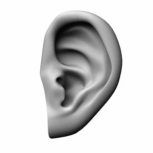 human ear 3ds