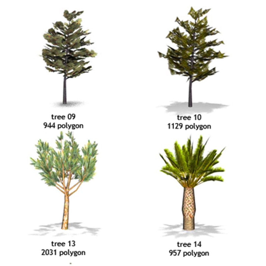 ma tree
