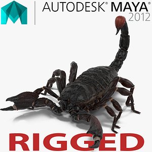 3d model black scorpion rigged
