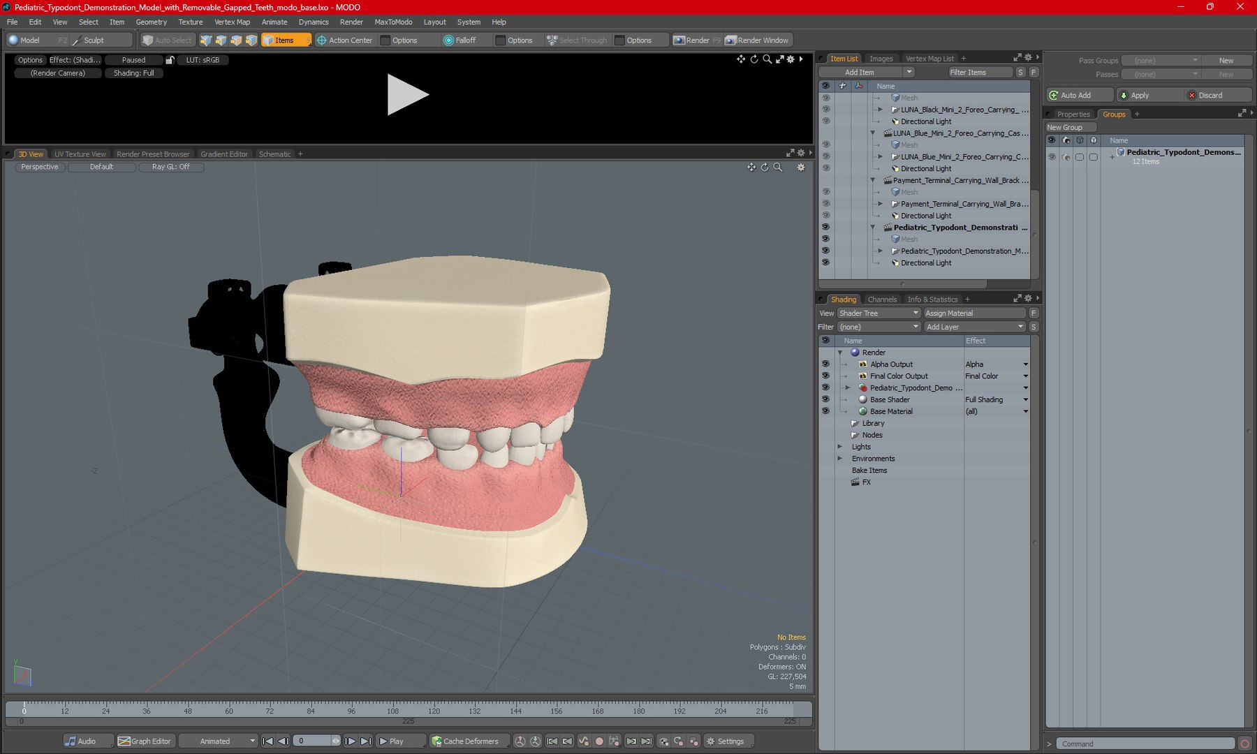 Pediatric Typodont Demonstration Model with Removable Gapped Teeth 3D ...