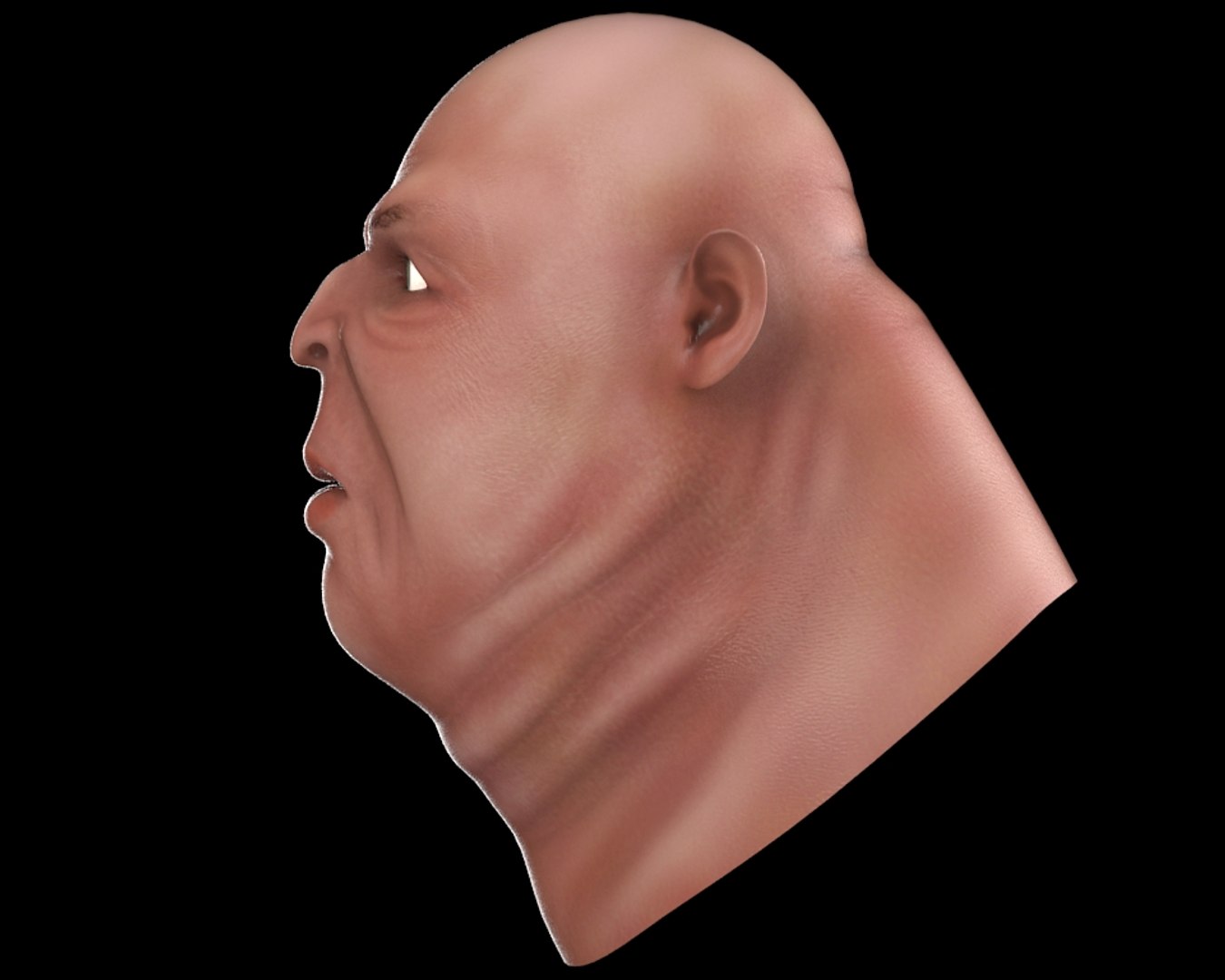 3d Model Ugly Fatman Head