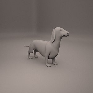 Dachshund