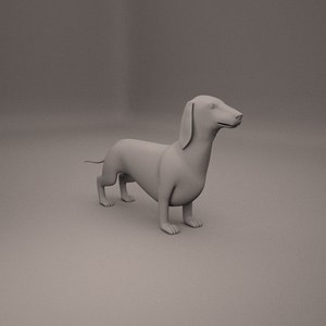 Dachshund
