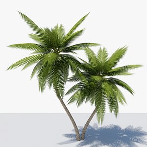 3D Lowpoly Date Palm v6