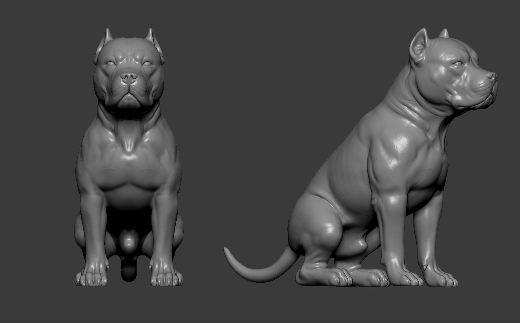American Bully Pitbull Muscle Dog 3D model https://p.turbosquid.com/ts-thumb/Z1/lw6IGX/0V/11/jpg/1773268534/1920x1080/fit_q87/bcbe6ee5b2a2d6d7cb2514d275434b9e8171ca44/11.jpg