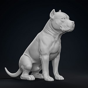 American Bully Pitbull Muscle Dog 3D model