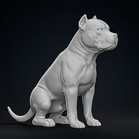 American Bully Pitbull Muscle Dog
