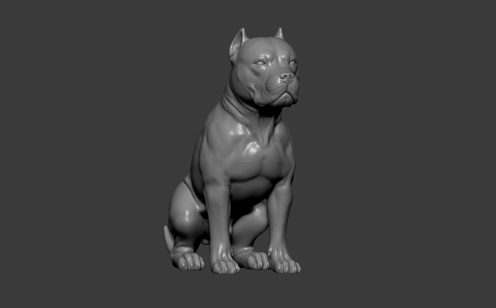 American Bully Pitbull Muscle Dog 3D model https://p.turbosquid.com/ts-thumb/Z1/lw6IGX/BJ/10/jpg/1773268534/1920x1080/fit_q87/daee8085924a2e74ffe168203d39d7aebd73cd92/10.jpg