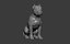 American Bully Pitbull Muscle Dog