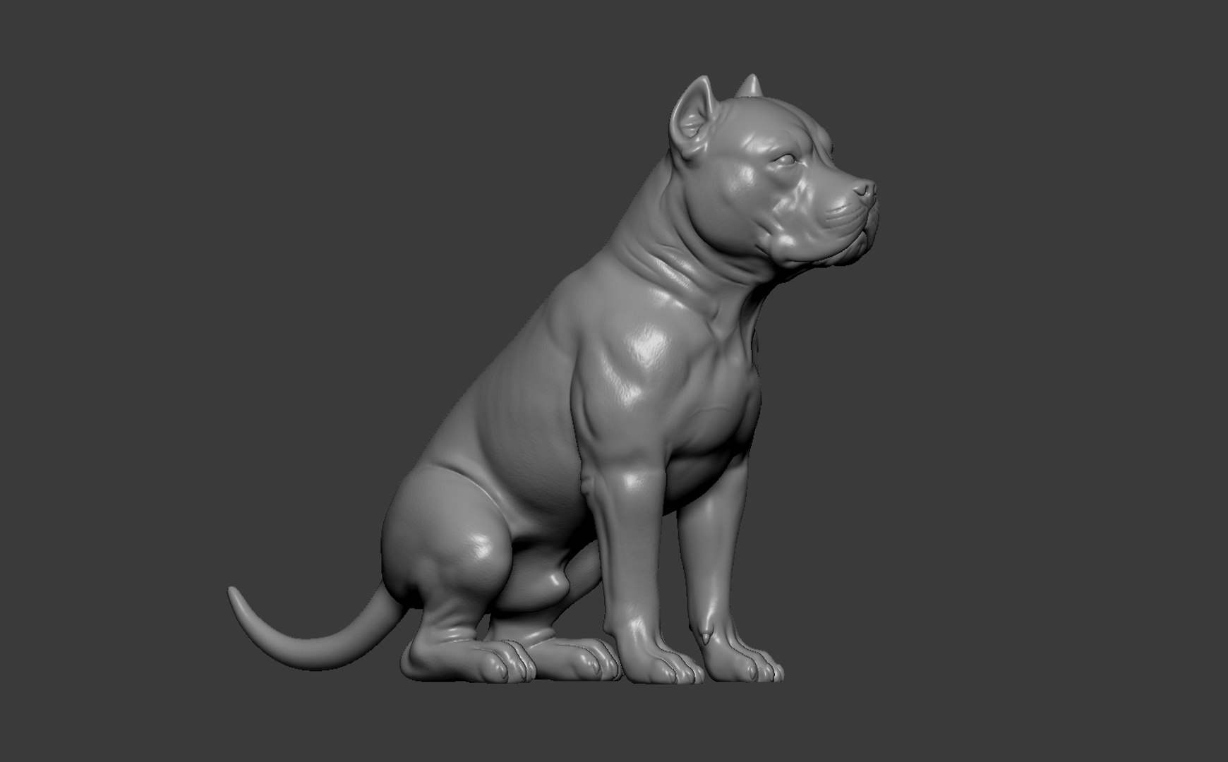 American Bully Pitbull Muscle Dog 3D model https://p.turbosquid.com/ts-thumb/Z1/lw6IGX/BV/8/jpg/1773268532/1920x1080/fit_q87/a83405d44951d74f946e3a5dc67bf30cd201d518/8.jpg