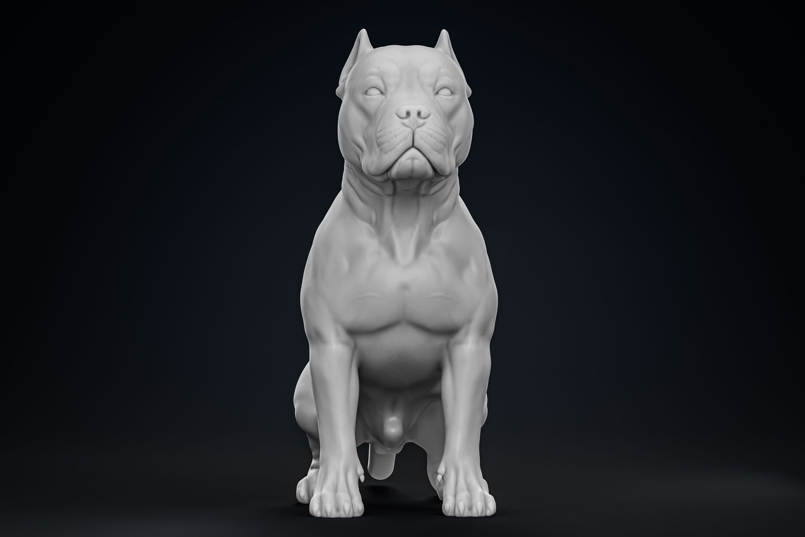 American Bully Pitbull Muscle Dog 3D model https://p.turbosquid.com/ts-thumb/Z1/lw6IGX/HF/6/jpg/1773268533/1920x1080/fit_q87/46624374e4aba49b5a0f14b6c3ed374bf9c8e804/6.jpg