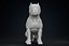 American Bully Pitbull Muscle Dog