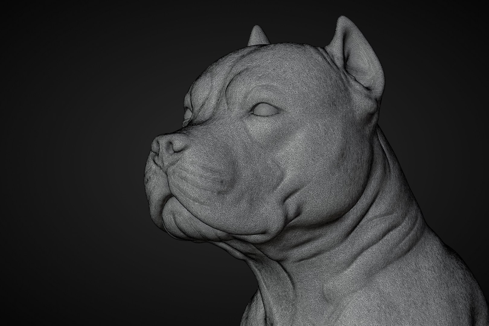 American Bully Pitbull Muscle Dog 3D model https://p.turbosquid.com/ts-thumb/Z1/lw6IGX/Hu/14/jpg/1773268538/1920x1080/fit_q87/b2c61a870a4cacbe1fc01aae2a9a8106c30155b0/14.jpg